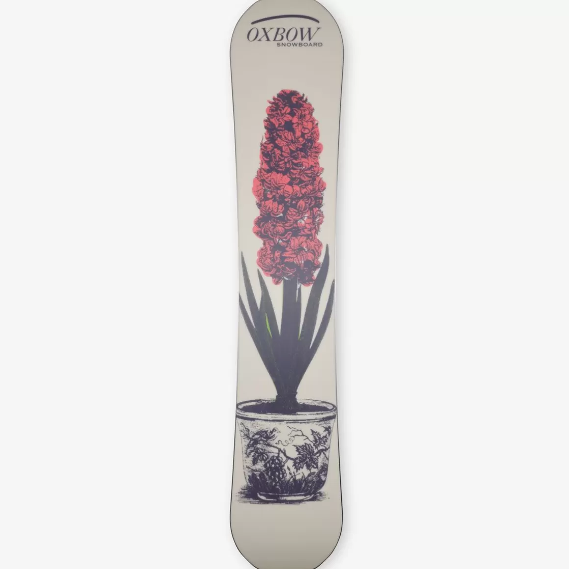 OXBOW Snowboard HYACINTH - Salt Clearance